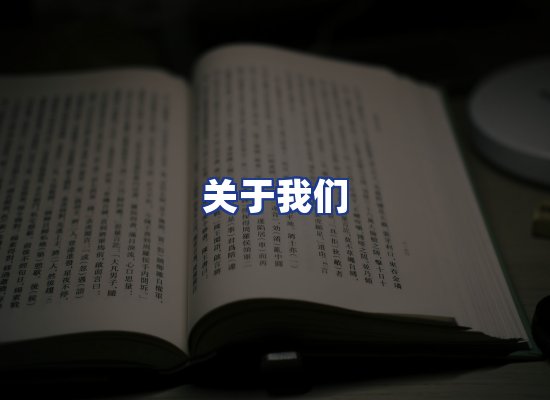 专业团队
